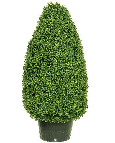 Potted Boxwood Cone #1850542P00