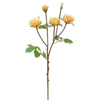 Yellow Floribunda Rose Stem #195118CYL00
