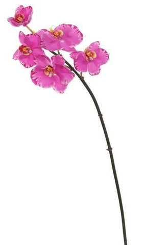 5 Blossom Pink Phalaenopsis Orchid #195158LVOH00 Minimum order of 6