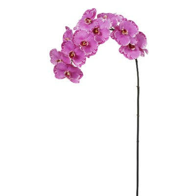 12 Blossom Pink Phalaenopsis Orchid #195160LVOH00 Minimum order of 6