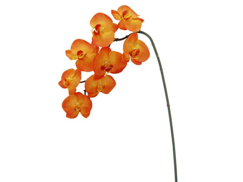 8 Blossom Orange Phalaenopsis Orchid #195271OR00 Minimum order of 6