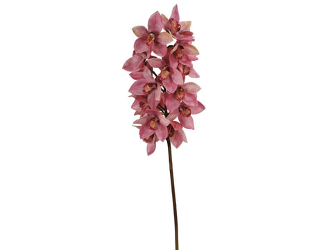 Blush Cymbidium Orchid Stem #195312OH00 Minimum order of 6
