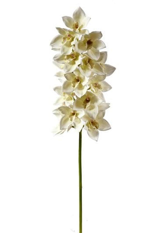 White Cymbidium Orchid Stem #95312WH00