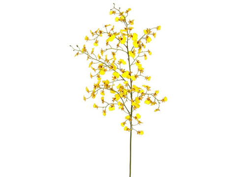Yellow Dancing Oncidium Orchid Stem #195315YL00