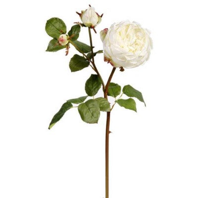 White English Bianca Rose Stem #195458CWH00
