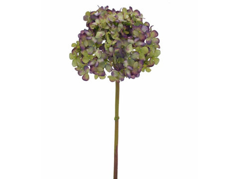Green/Purple Hydrangea Short Stem #195705EPGR00 Minimum order of 6