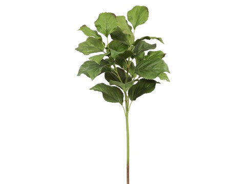 Hydrangea Leaf Stem #19585800 Minimum order of 6
