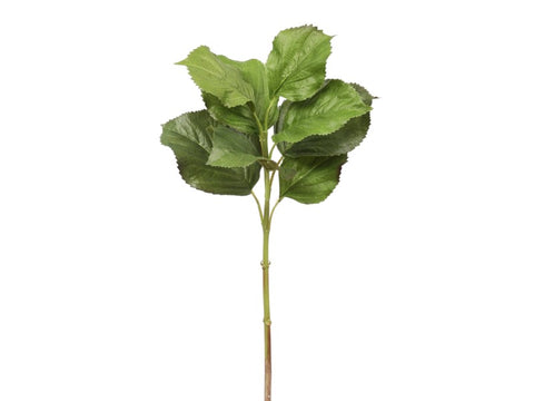 Hydrangea Leaf Stem #19585900 Minimum order of 6