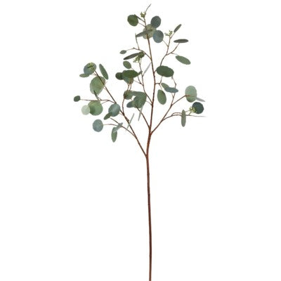 Seeded Dollar Eucalyptus Branch #19888000