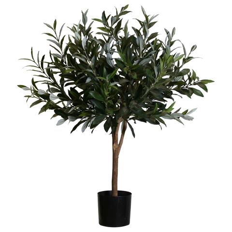 Olive Tree #1P140400
