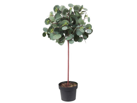 Potted Round Eucalyptus #1PG1112GR00