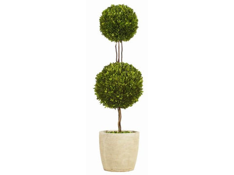 Double Boxwood Topiary #1PG3145GR00