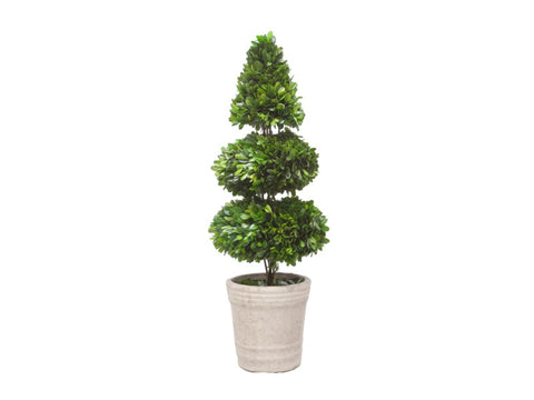 Potted Boxwood Topiary #1PG3153GR00