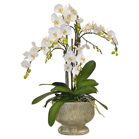 34" Orchids Arrangement in Urn, Faux #FBC5876