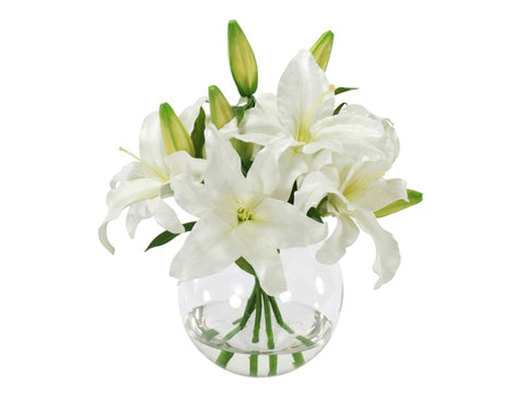 white casablanca lily bouquet Casablanca Lilies in Bowl #9217WW00 – EBW LLC