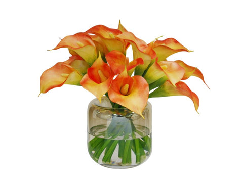 Sunset Calla Lilies in Rounded Vase #1SDP513OR00