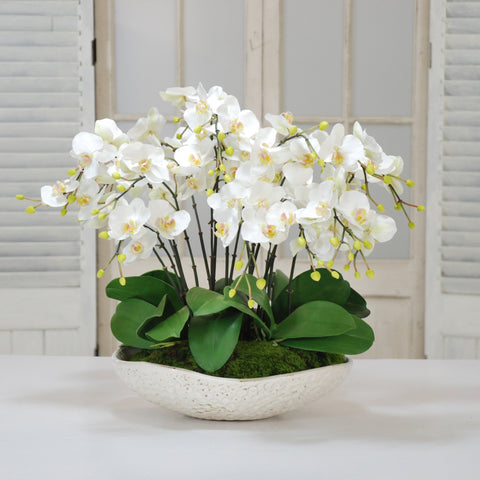 WHITE ORCHIDS IN BOWL  #D1055.WH